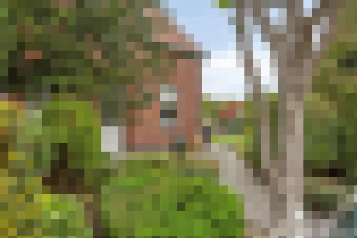 Rijksweg Noord 7 Echt thumbnail 6
