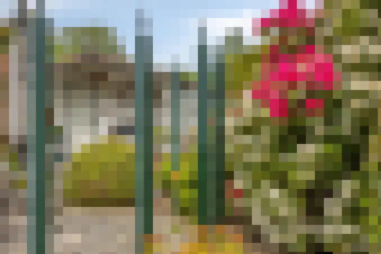 Rijksweg Noord 7 Echt thumbnail 61