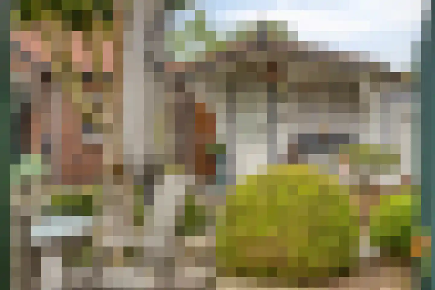 Rijksweg Noord 7 Echt thumbnail 62