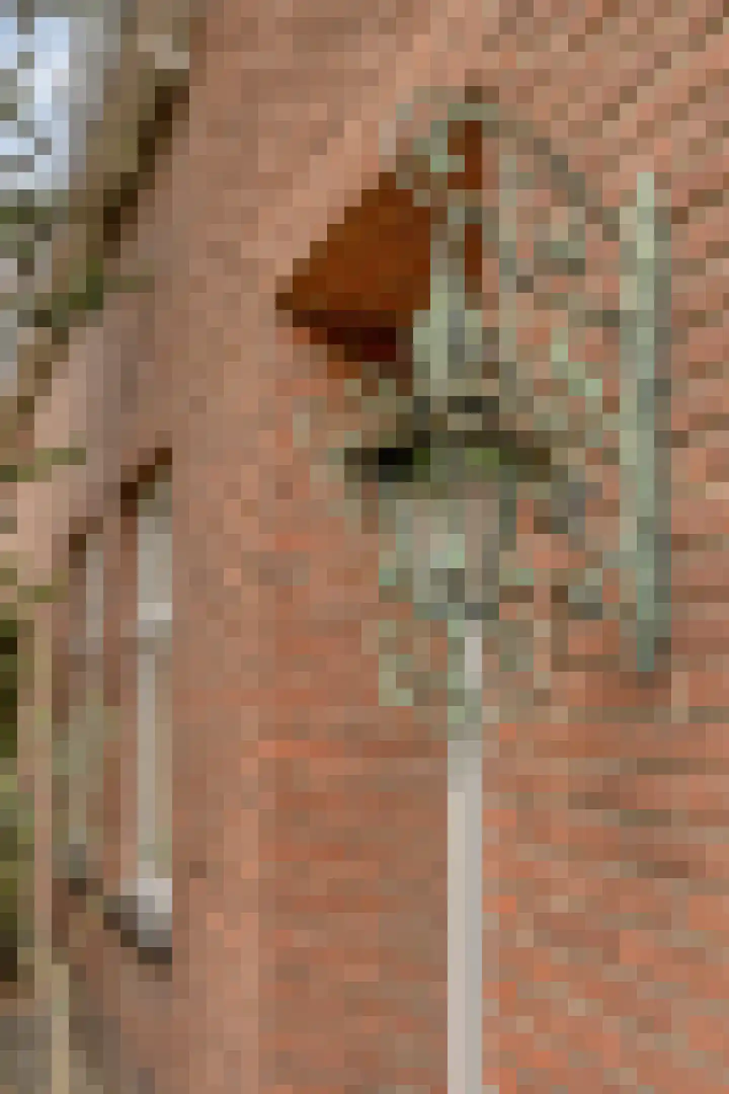 Rijksweg Noord 7 Echt thumbnail 8