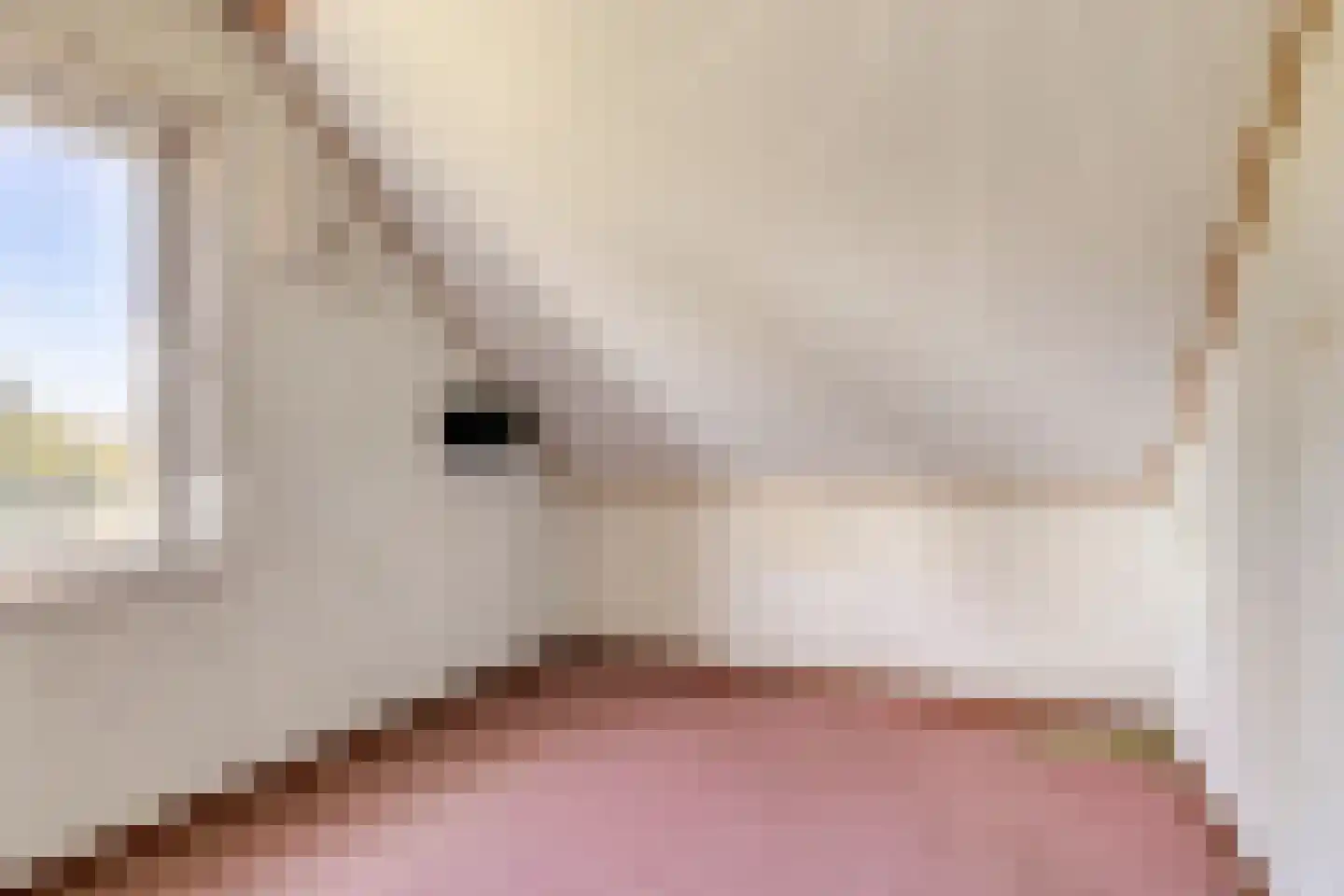 Rijksweg Noord 84 Swalmen thumbnail 31