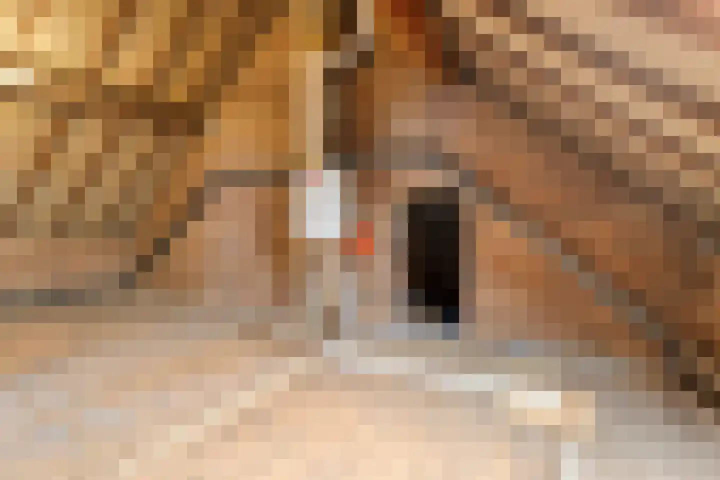 Rijksweg Noord 84 Swalmen thumbnail 35