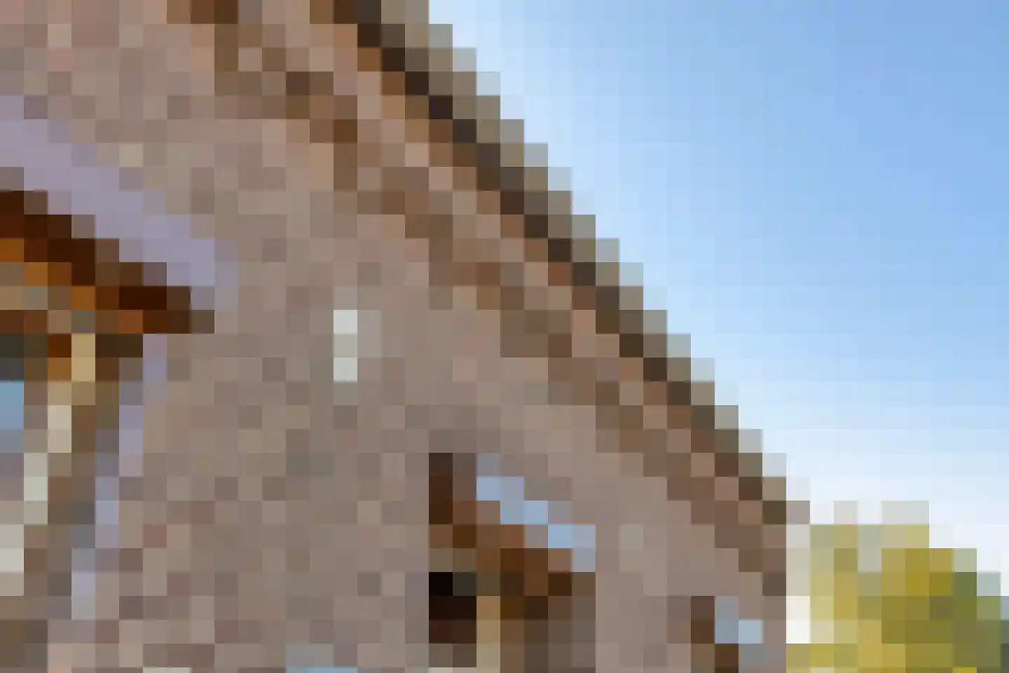 Rijksweg Noord 84 Swalmen thumbnail 8