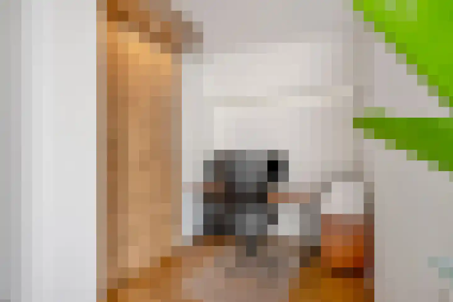 Rijksweg Noord 88 Geleen thumbnail 12