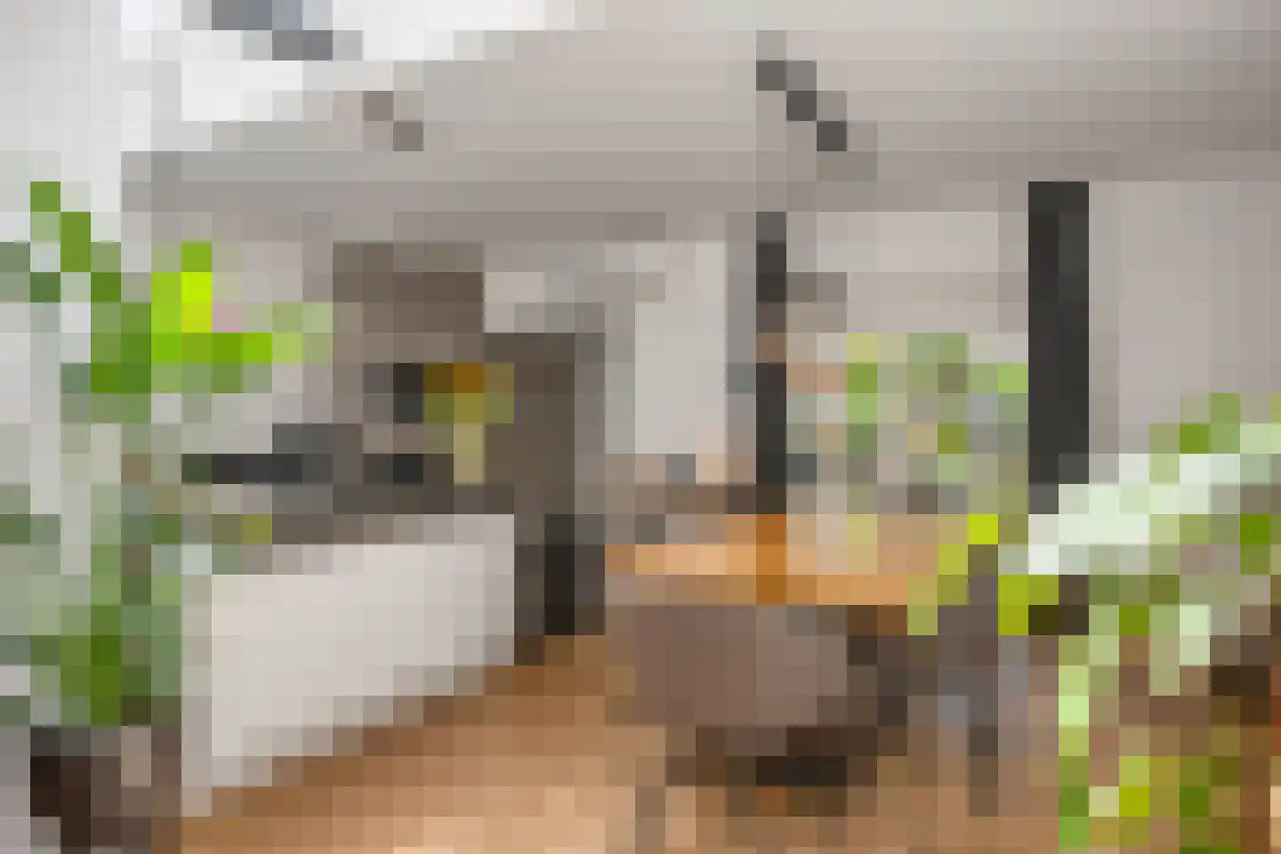 Rijksweg Noord 88 Geleen thumbnail 14