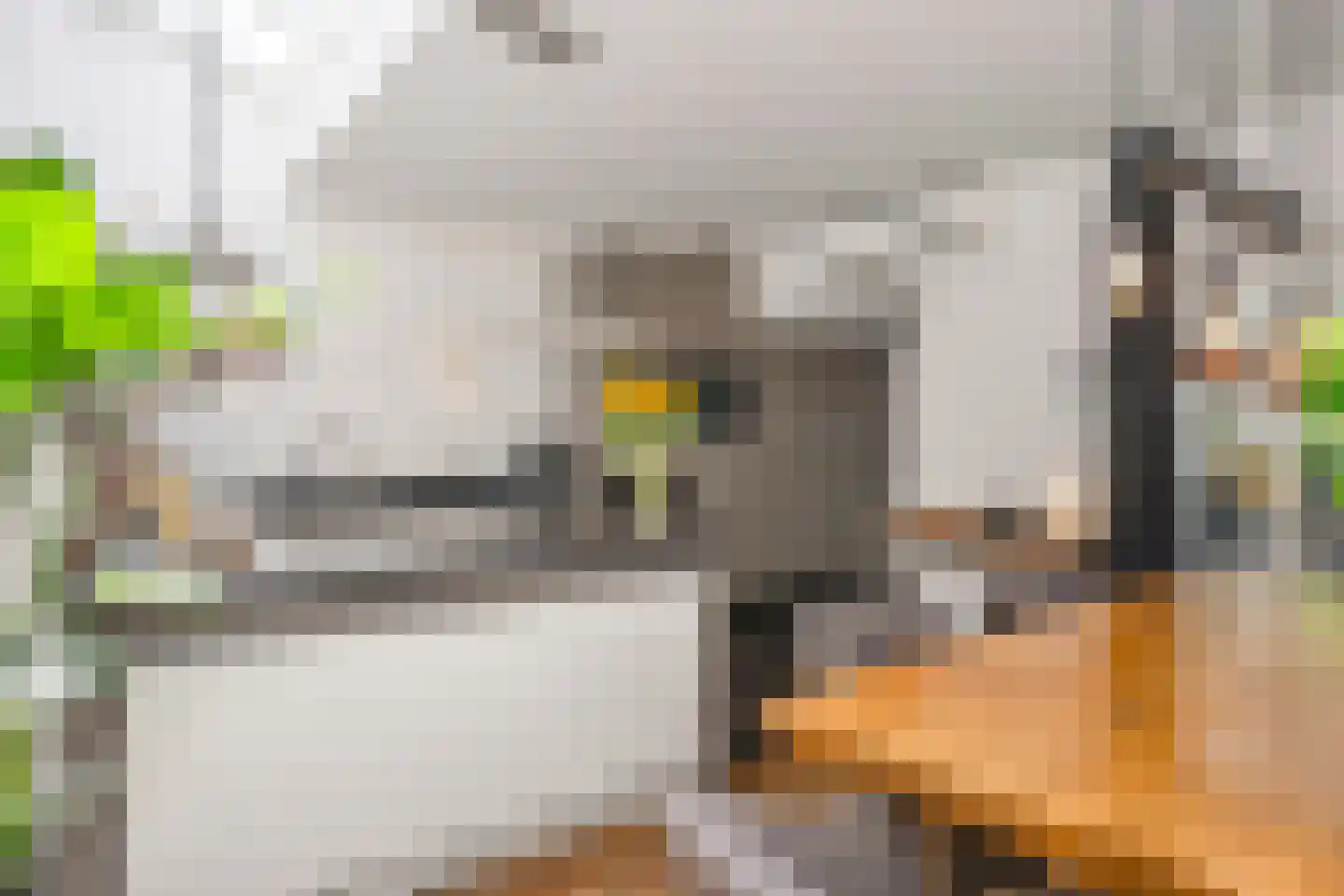Rijksweg Noord 88 Geleen thumbnail 15
