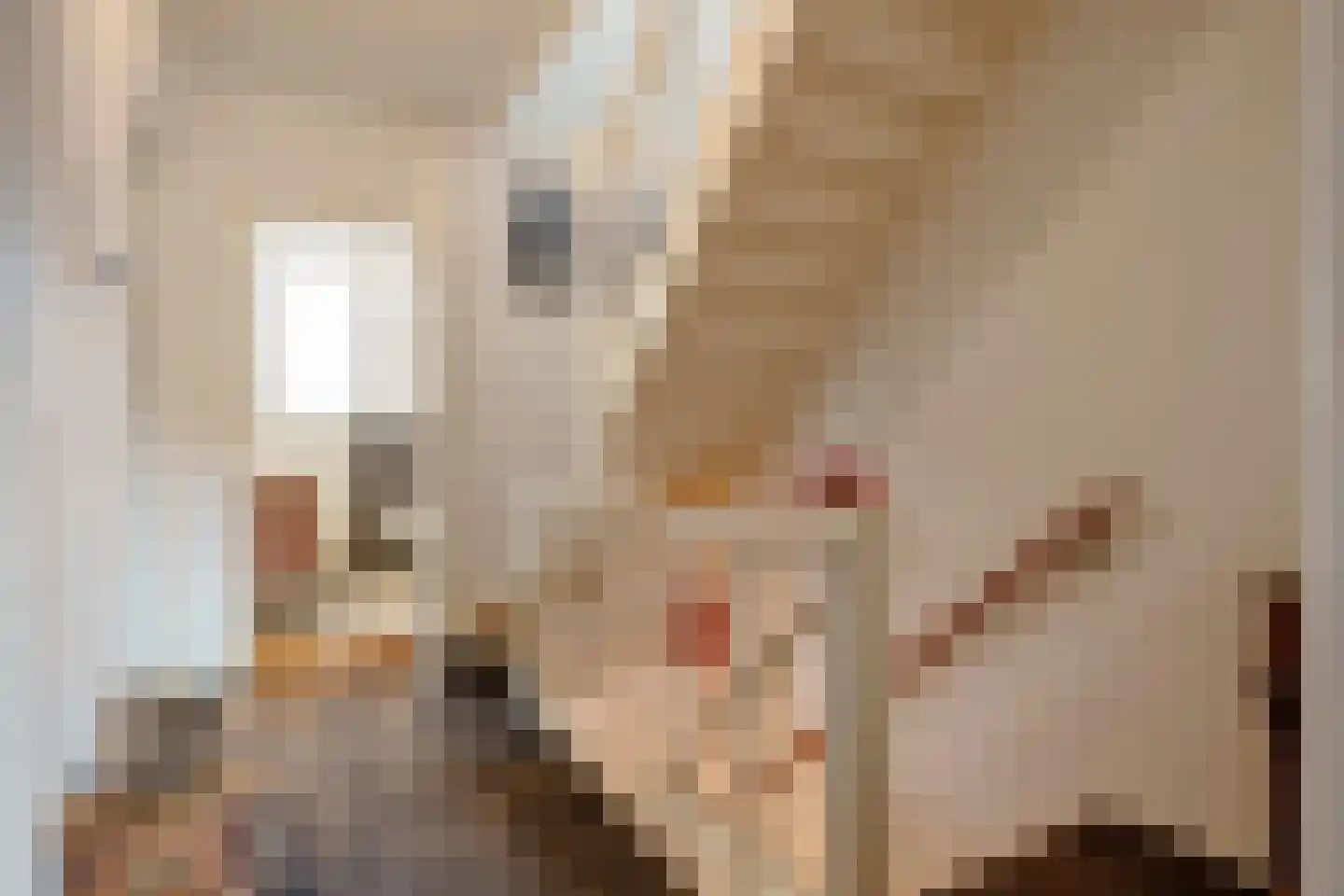 Rijksweg Noord 88 Geleen thumbnail 21