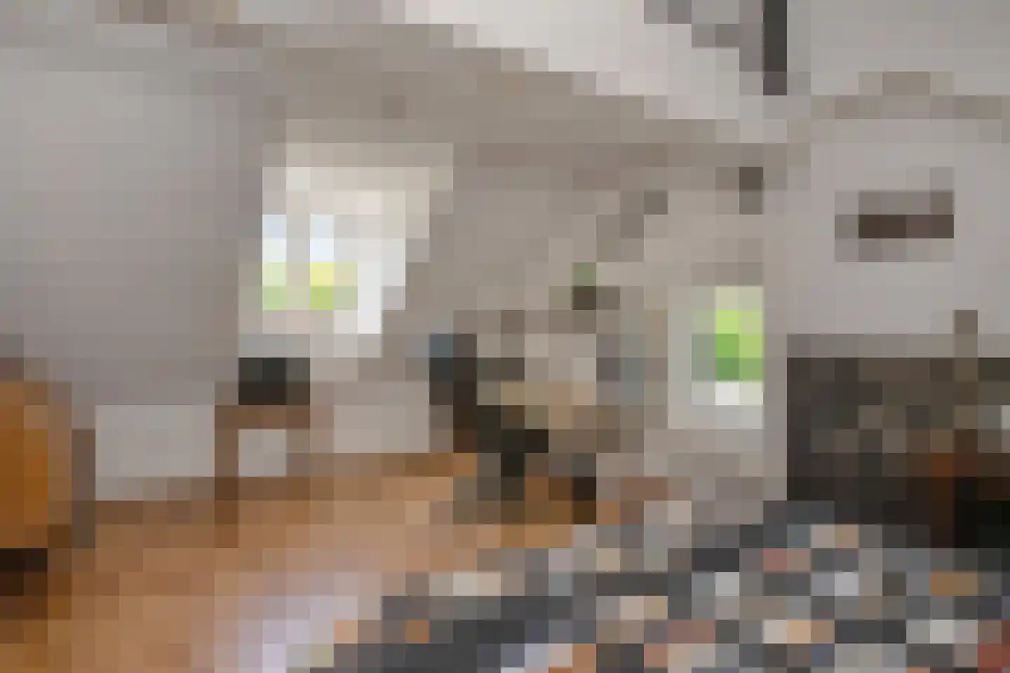 Rijksweg Noord 88 Geleen thumbnail 31