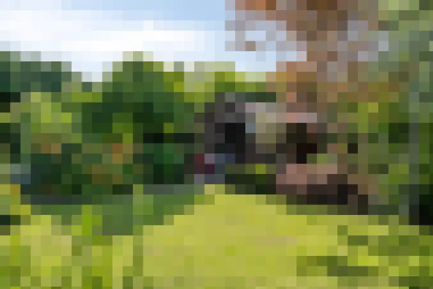 Rijksweg Noord 88 Geleen thumbnail 43