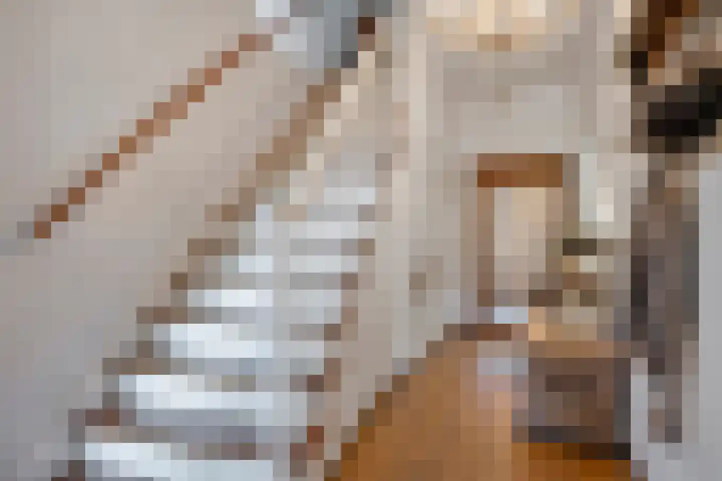 Rijksweg Noord 88 Geleen thumbnail 5