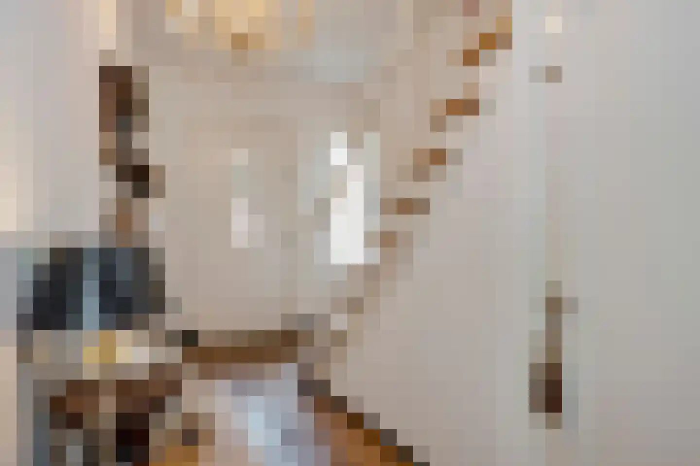 Rijksweg Noord 88 Geleen thumbnail 6
