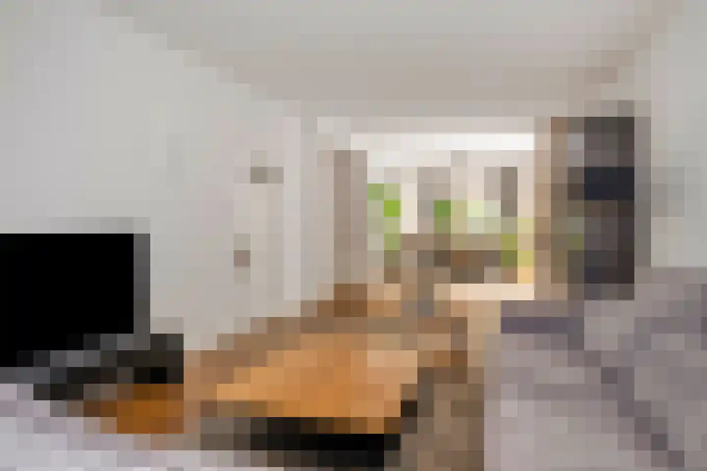 Rijksweg Noord 88 Geleen thumbnail 7