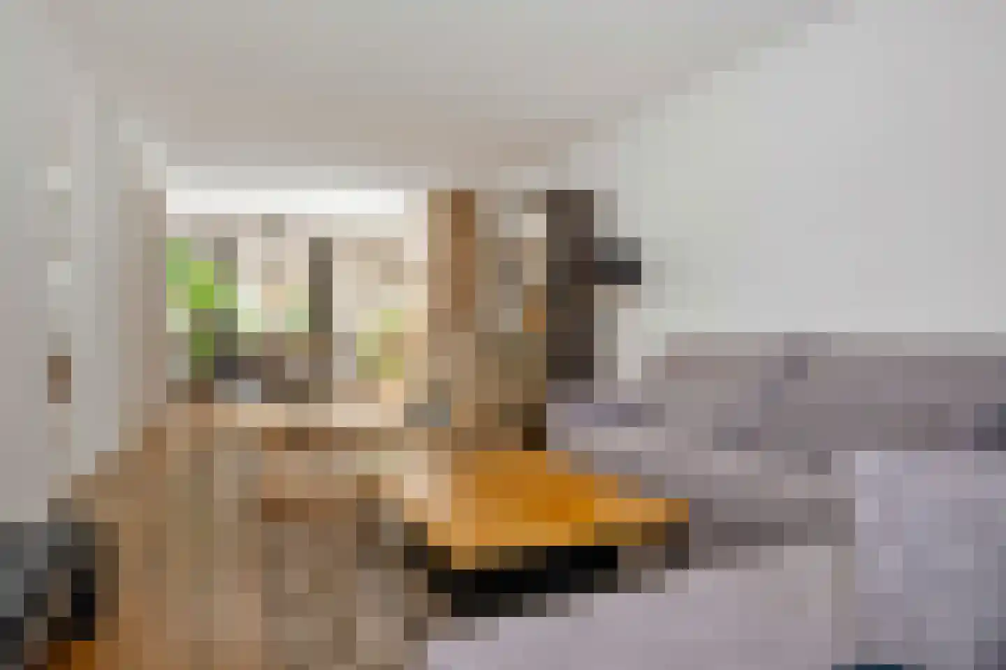Rijksweg Noord 88 Geleen thumbnail 8
