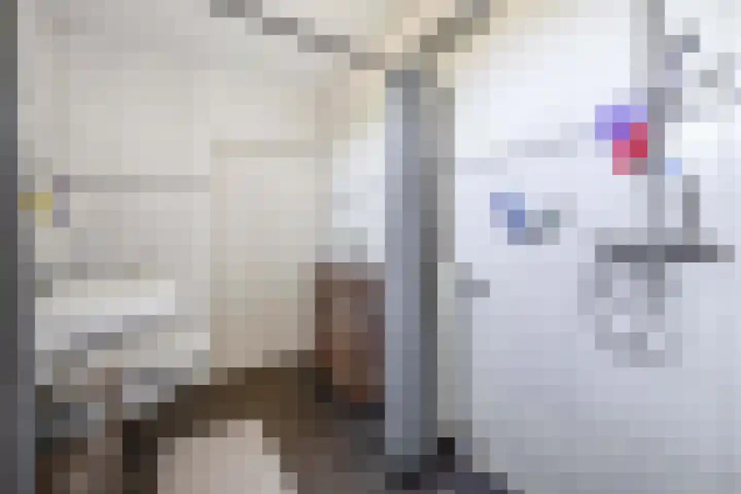 Rijksweg Noord 9 Belfeld thumbnail 12