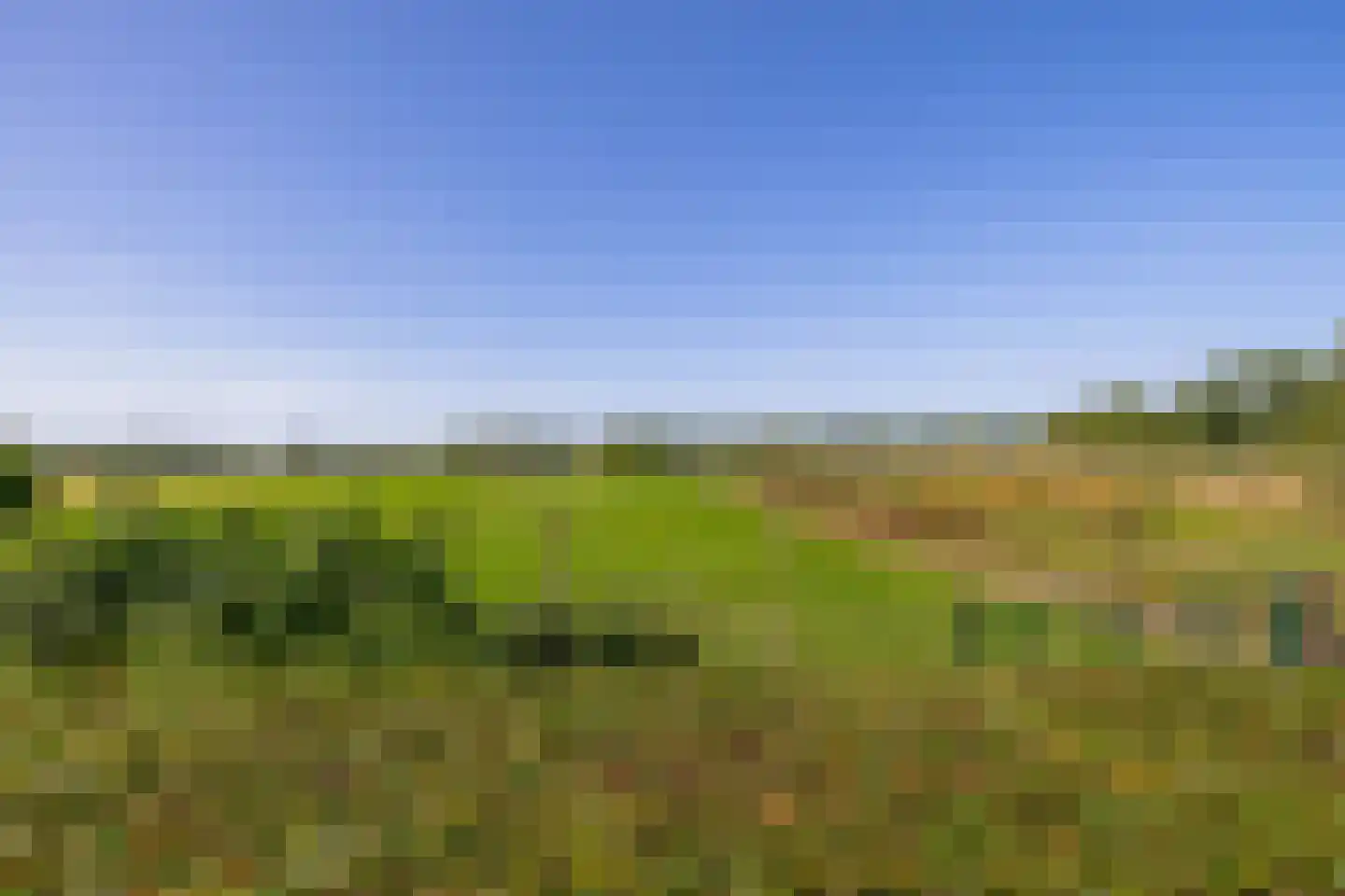 Rijksweg Noord 9 Belfeld thumbnail 26