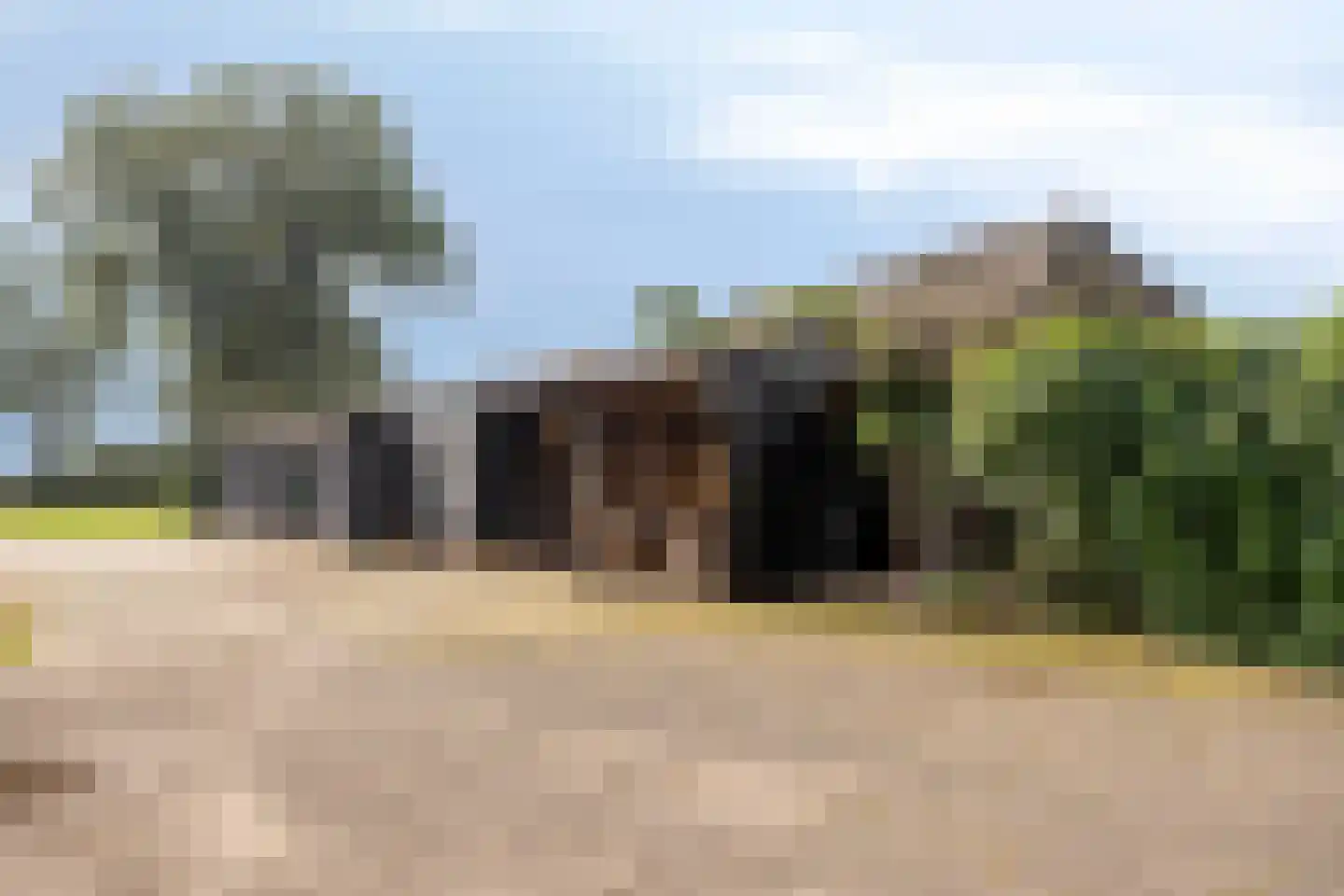 Rijksweg NZ 16 Havelte thumbnail 25
