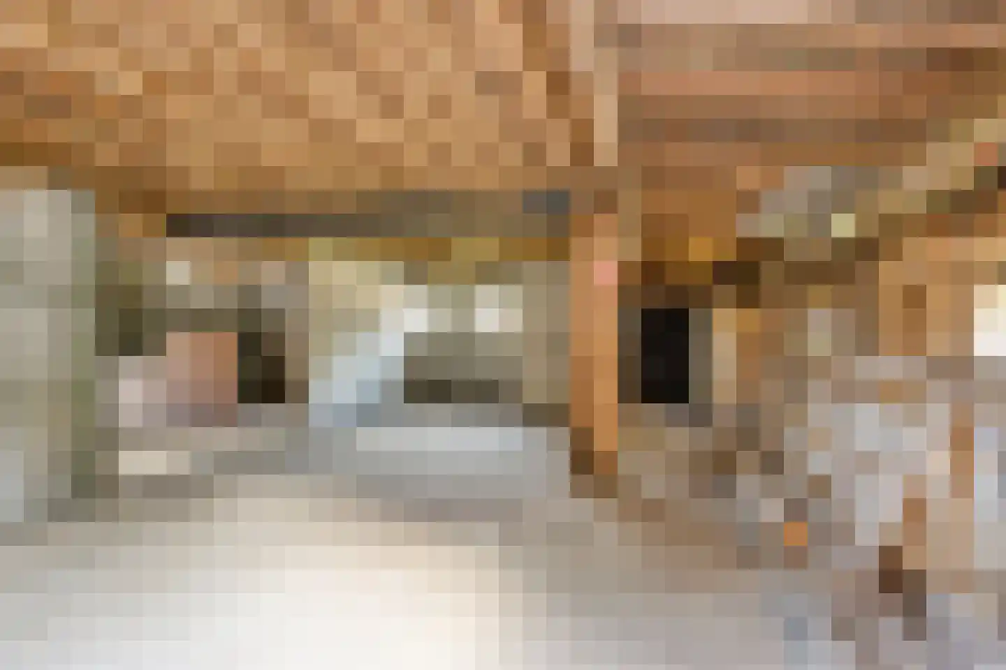 Rijksweg NZ 16 Havelte thumbnail 31