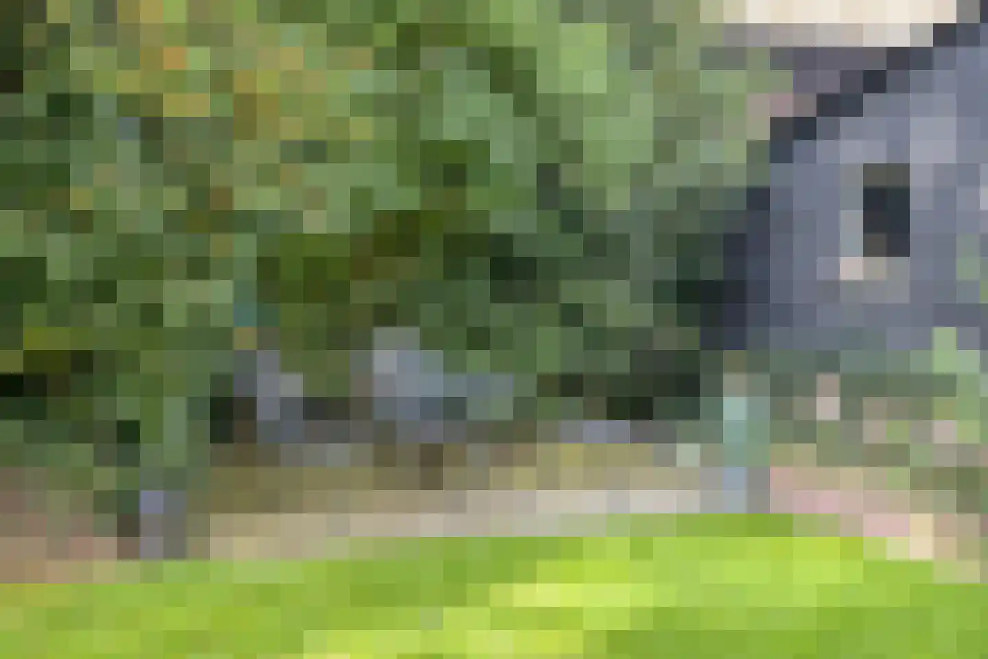 Rijksweg NZ 16 Havelte thumbnail 36