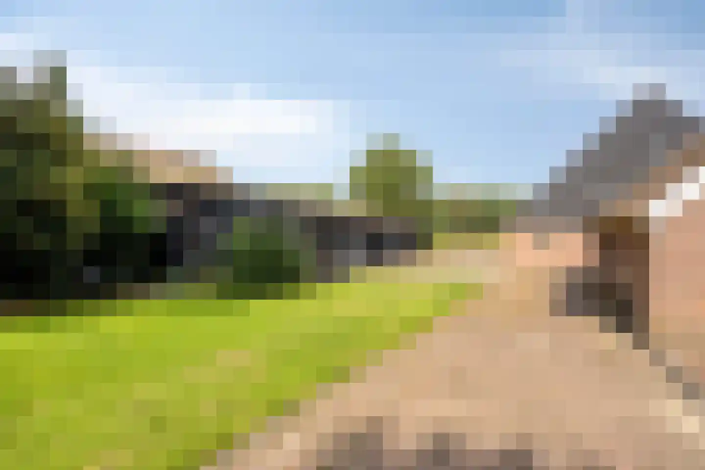 Rijksweg NZ 16 Havelte thumbnail 37