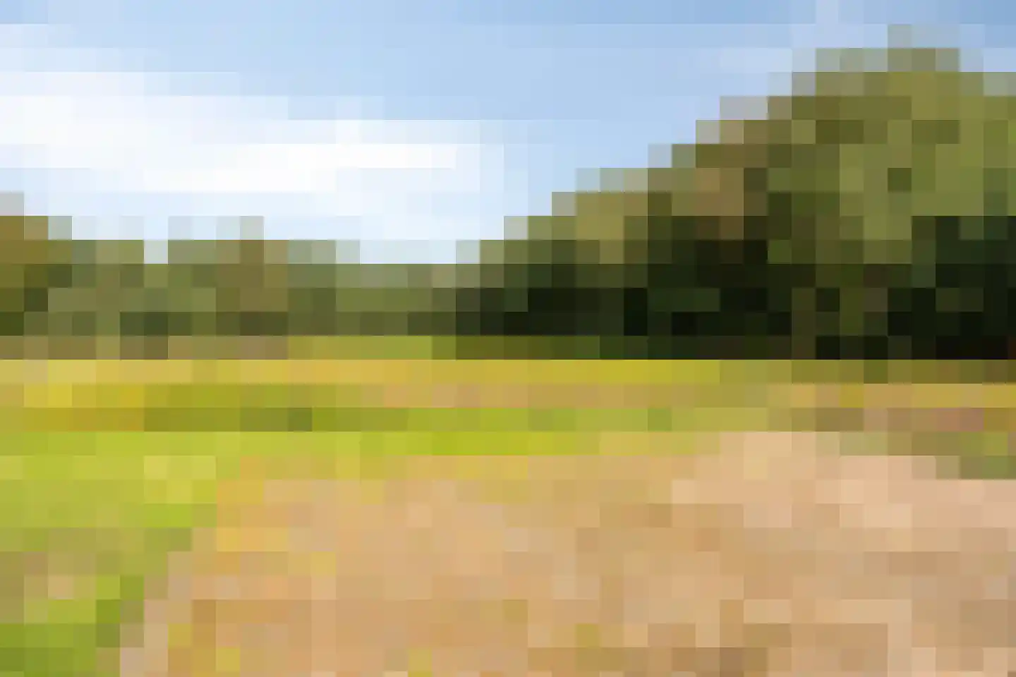 Rijksweg NZ 16 Havelte thumbnail 41