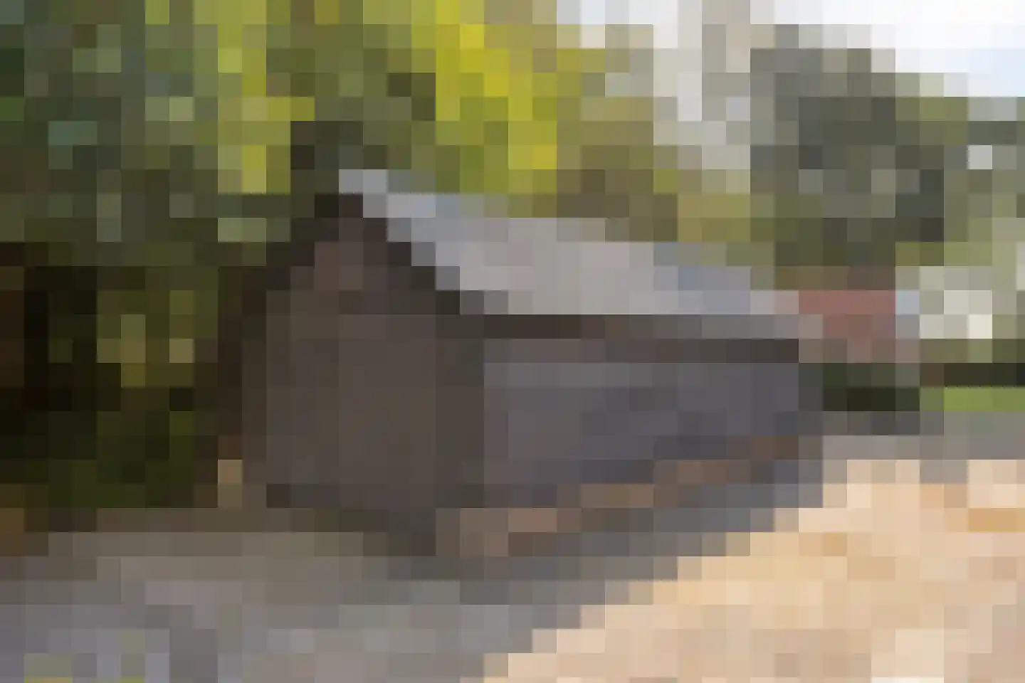 Rijksweg NZ 16 Havelte thumbnail 46