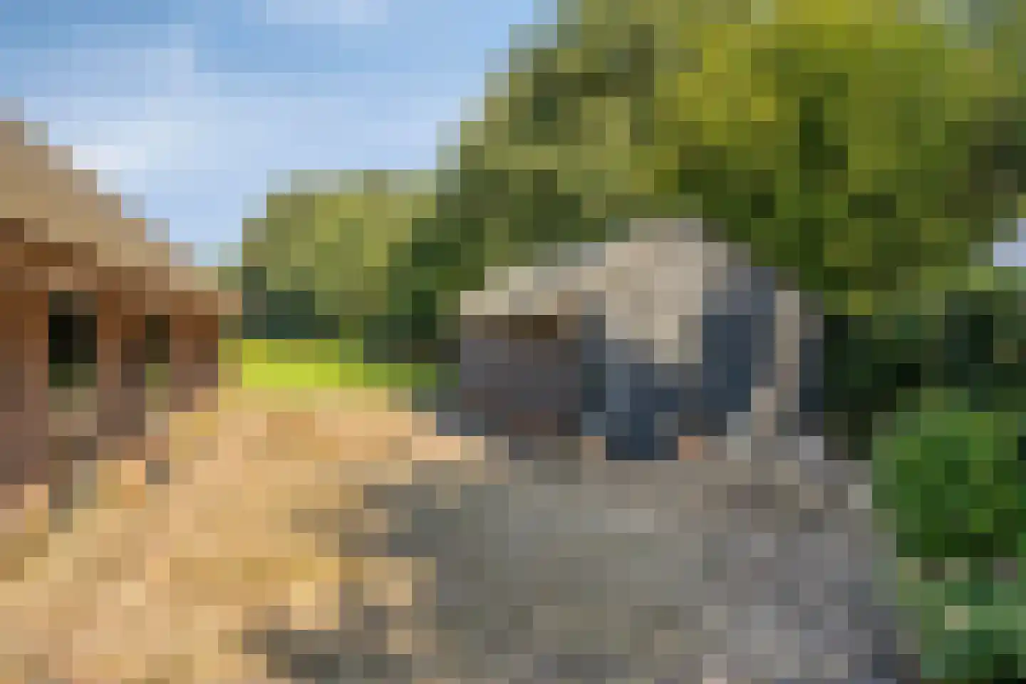 Rijksweg NZ 16 Havelte thumbnail 47