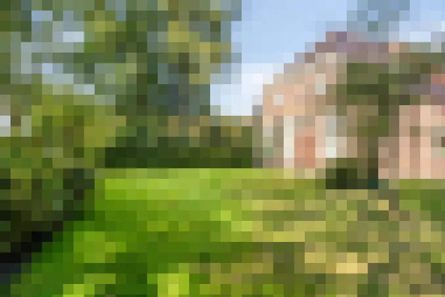 Rijksweg NZ 16 Havelte thumbnail 50