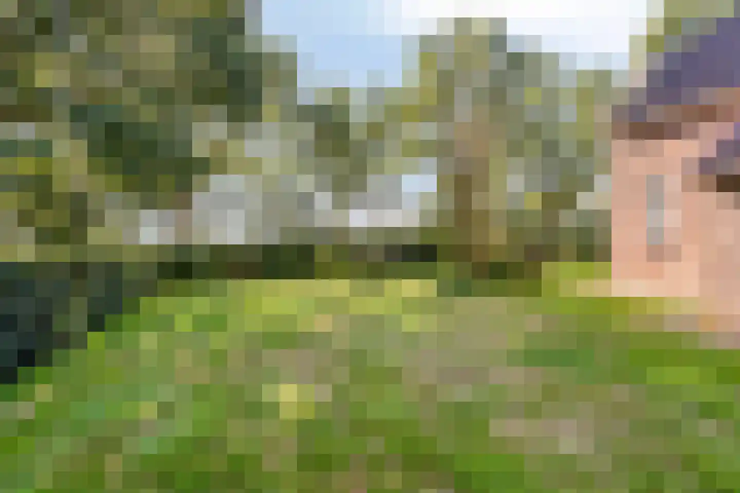 Rijksweg NZ 16 Havelte thumbnail 51