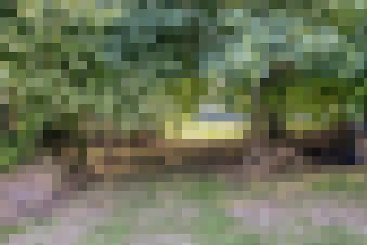 Rijksweg NZ 16 Havelte thumbnail 52