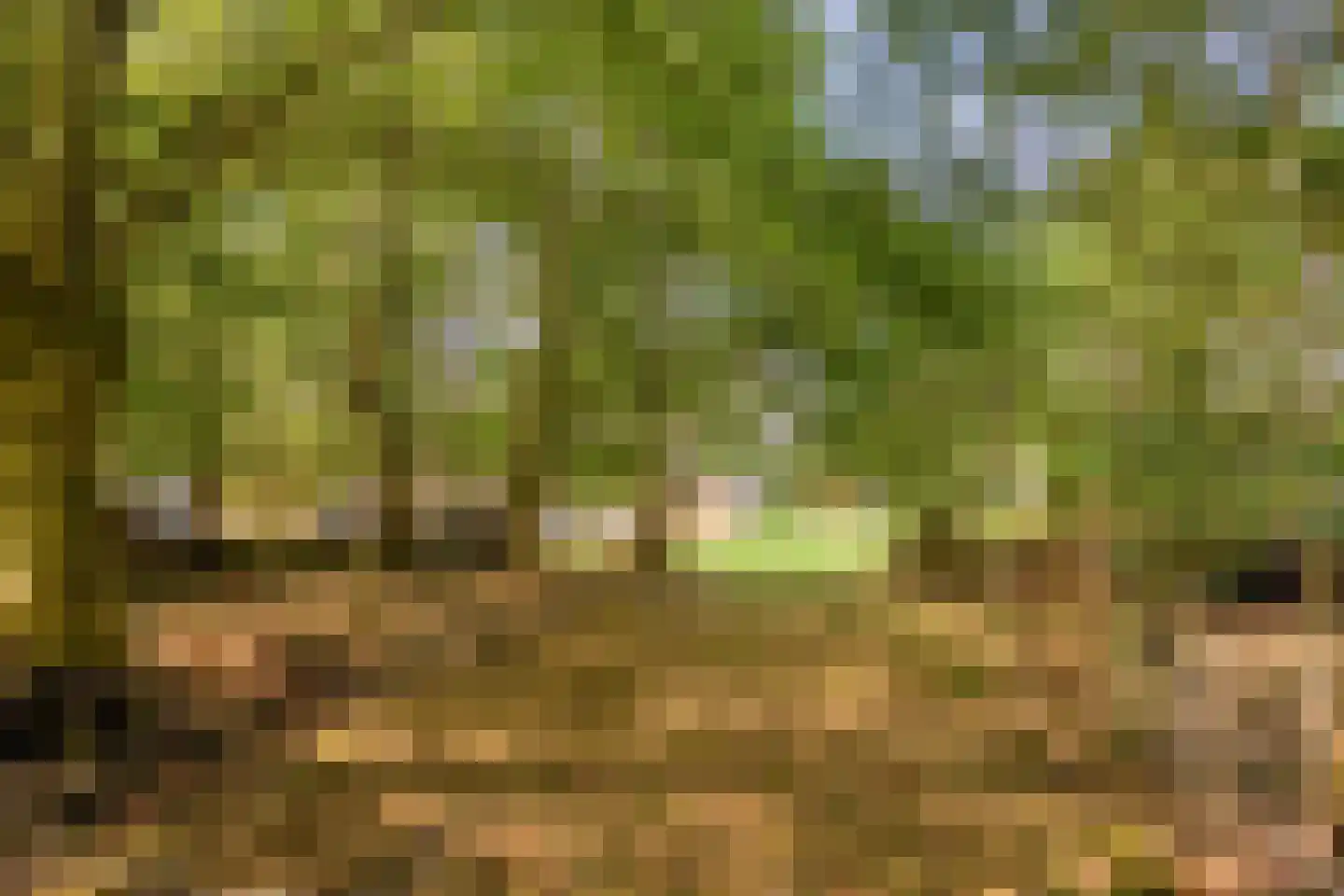 Rijksweg NZ 16 Havelte thumbnail 53