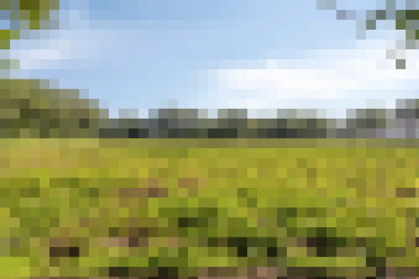 Rijksweg NZ 16 Havelte thumbnail 54
