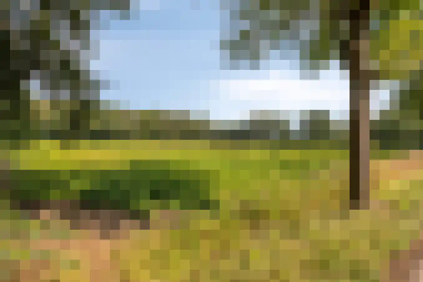 Rijksweg NZ 16 Havelte thumbnail 55