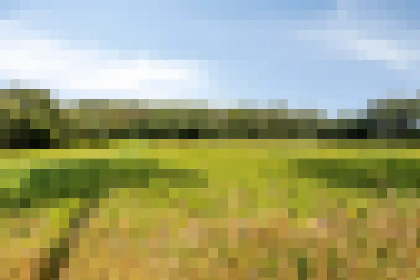 Rijksweg NZ 16 Havelte thumbnail 56
