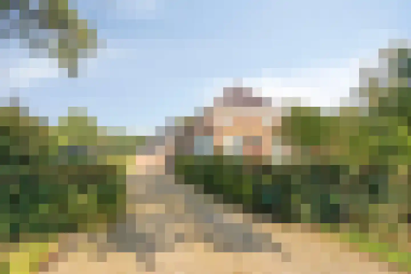 Rijksweg NZ 16 Havelte thumbnail 57