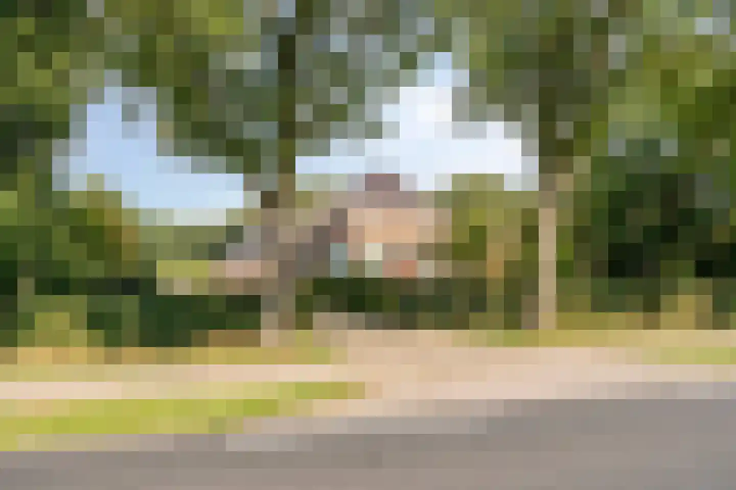 Rijksweg NZ 16 Havelte thumbnail 58