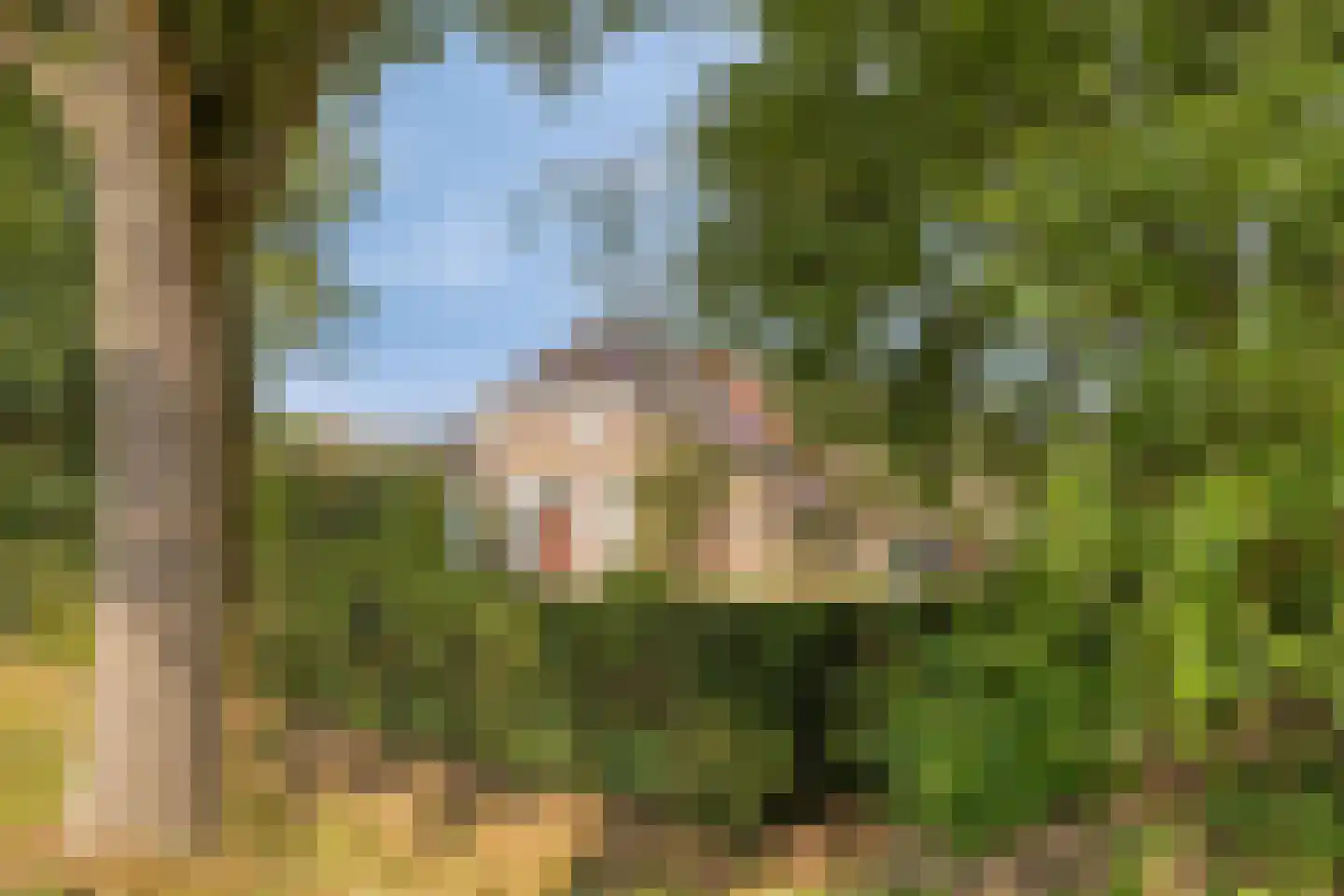 Rijksweg NZ 16 Havelte thumbnail 59