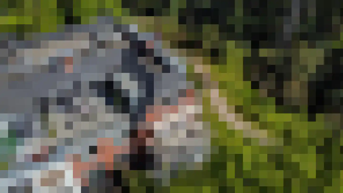 Rijksweg-West 10 h Laren thumbnail 22