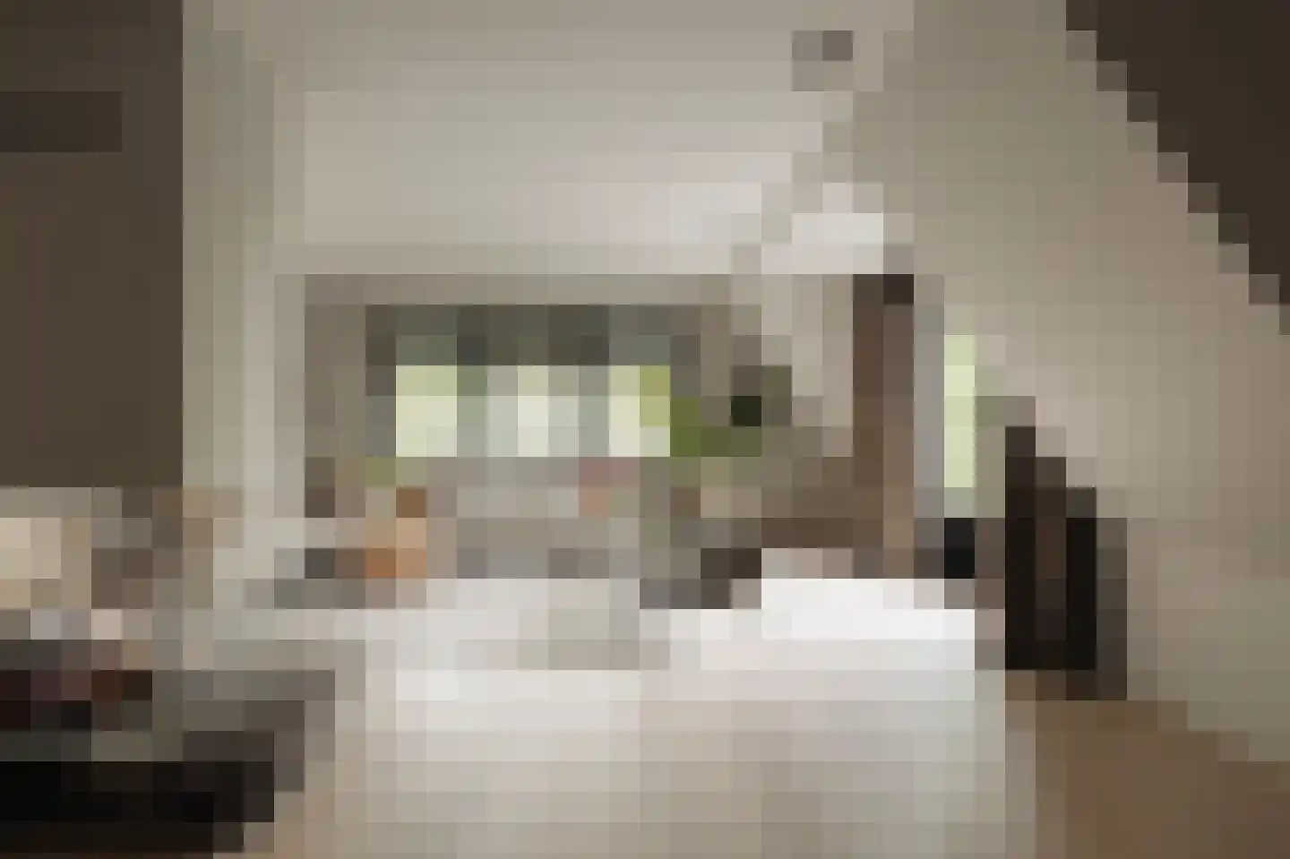 Rijksweg-West 10 h Laren thumbnail 4