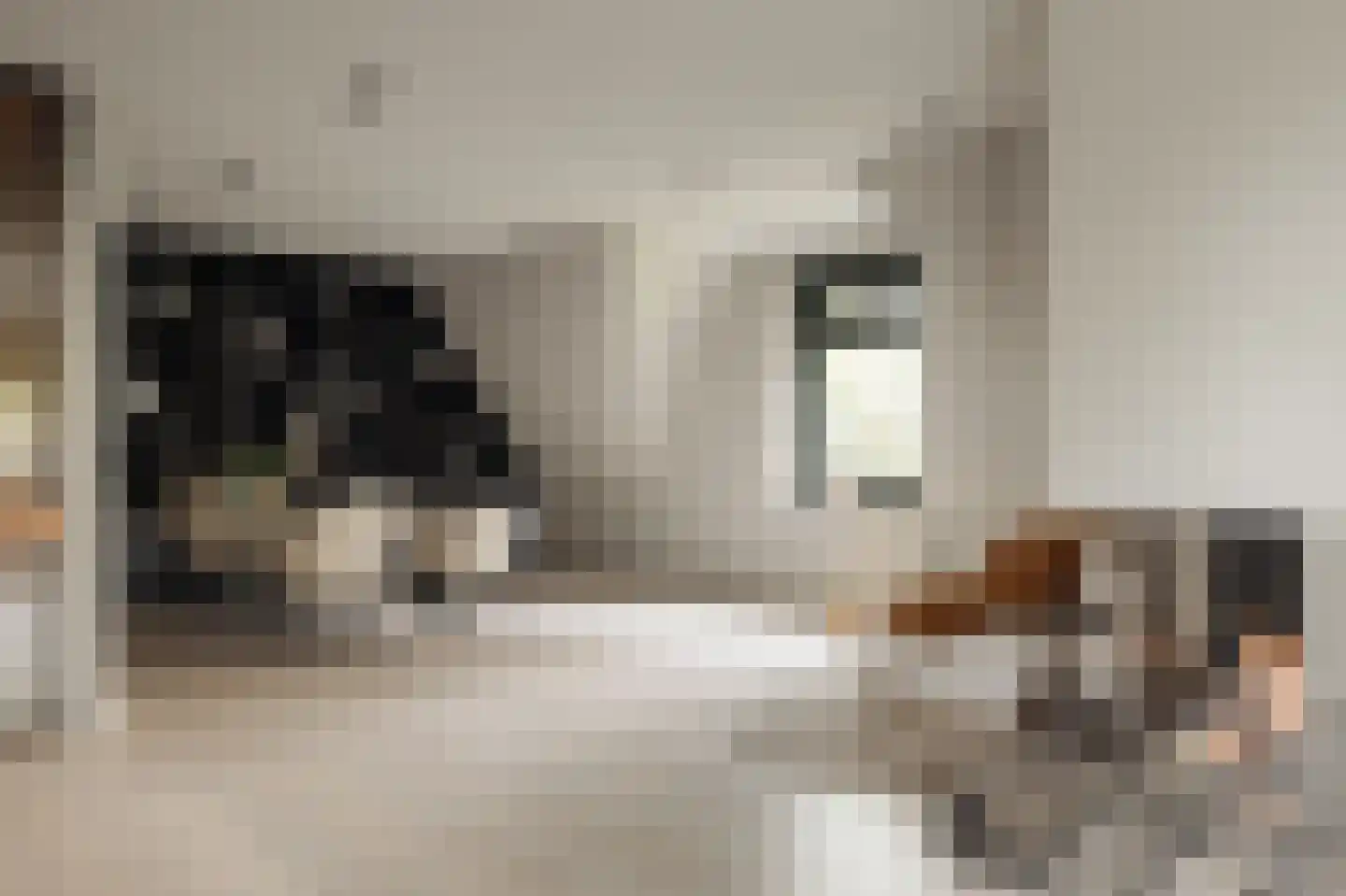 Rijksweg-West 10 h Laren thumbnail 5