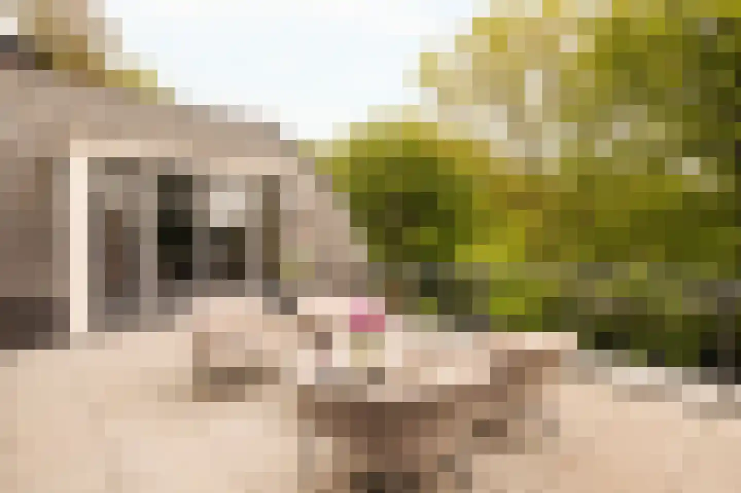 Rijksweg-West 10 h Laren thumbnail 7
