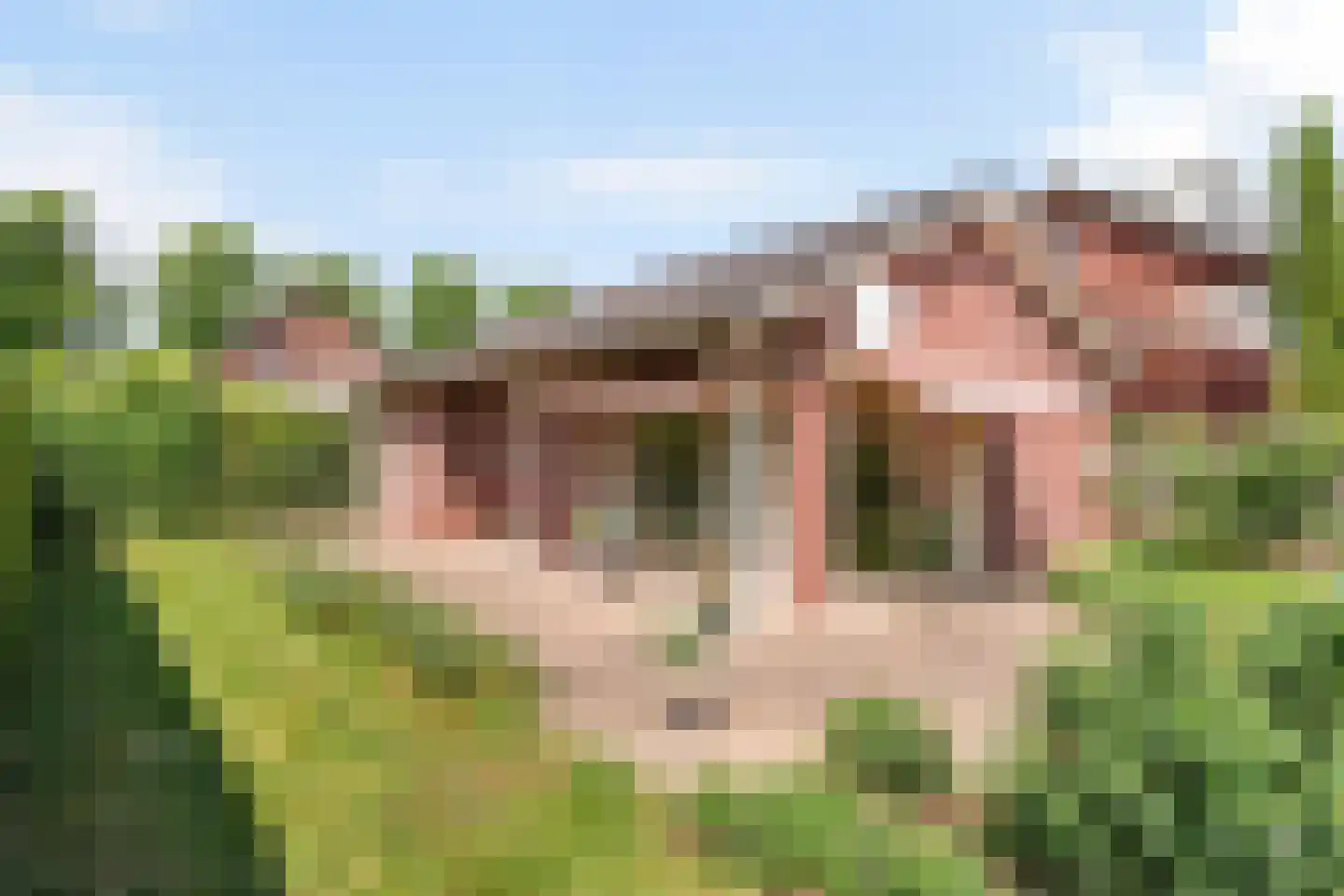 Rijksweg-West 16 Arnhem thumbnail 29