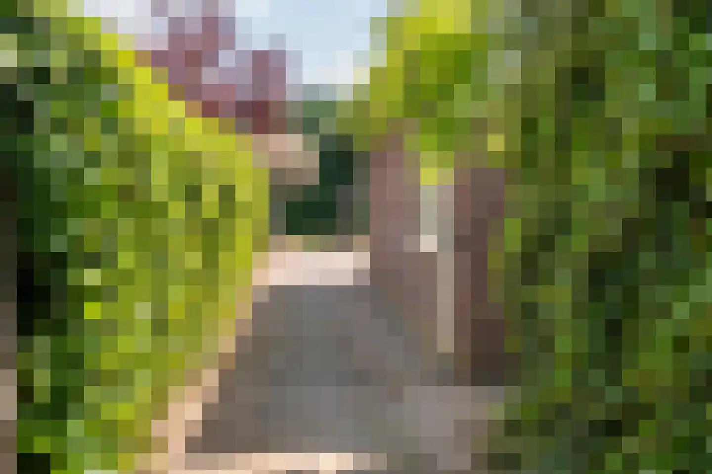 Rijksweg-West 16 Arnhem thumbnail 43