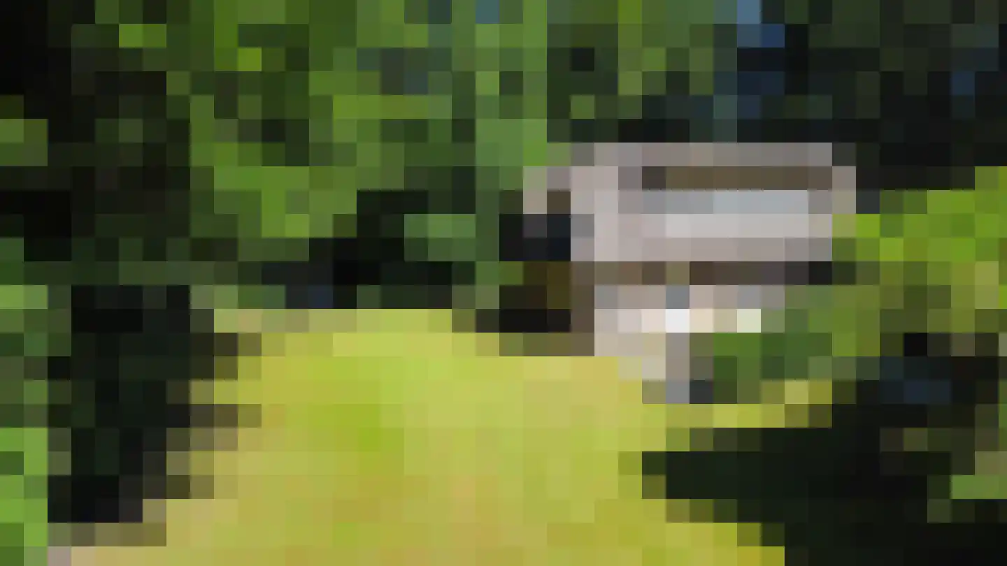 Rijksweg-West 5 Laren thumbnail 19