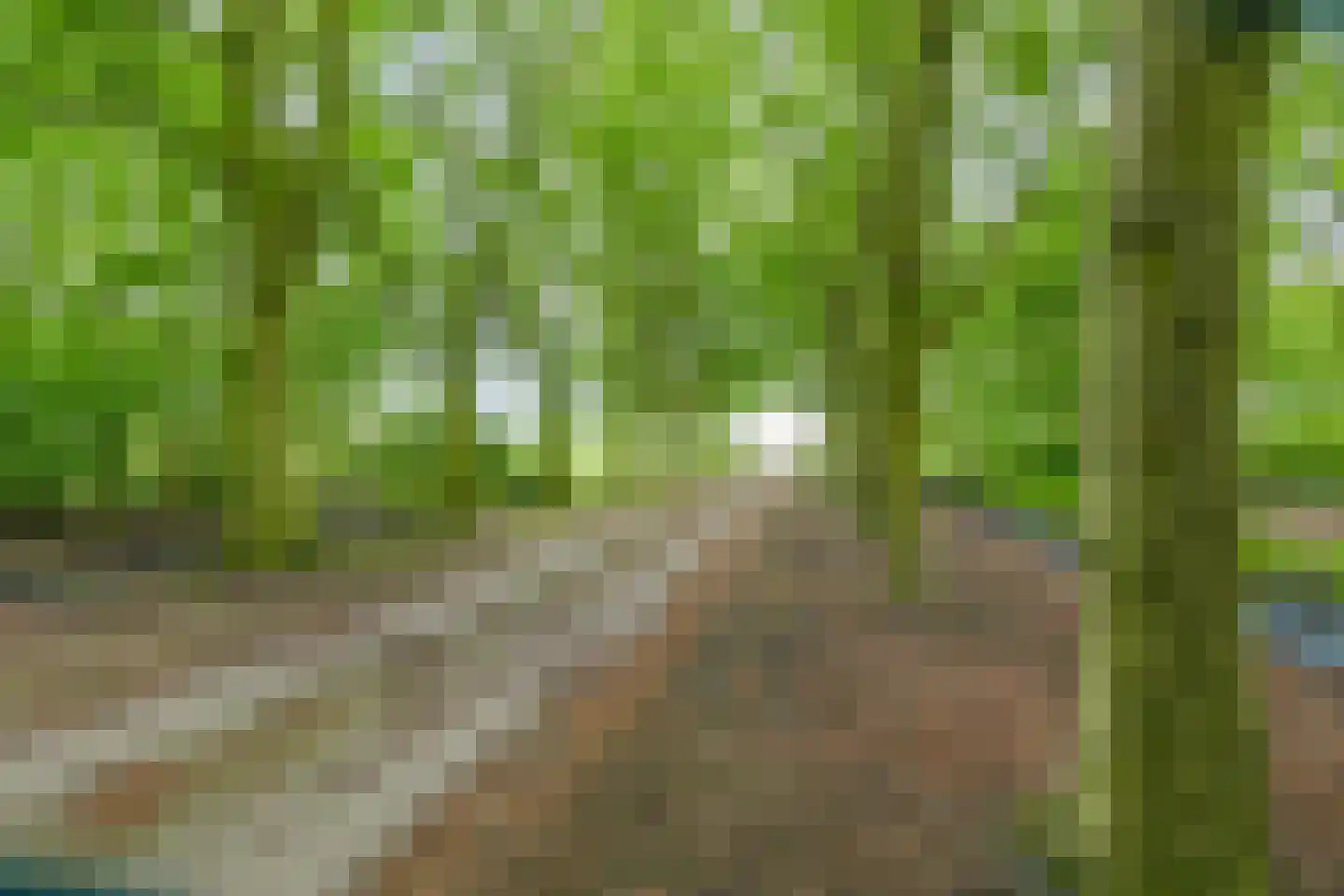 Rijksweg West 65 Westerbroek thumbnail 13
