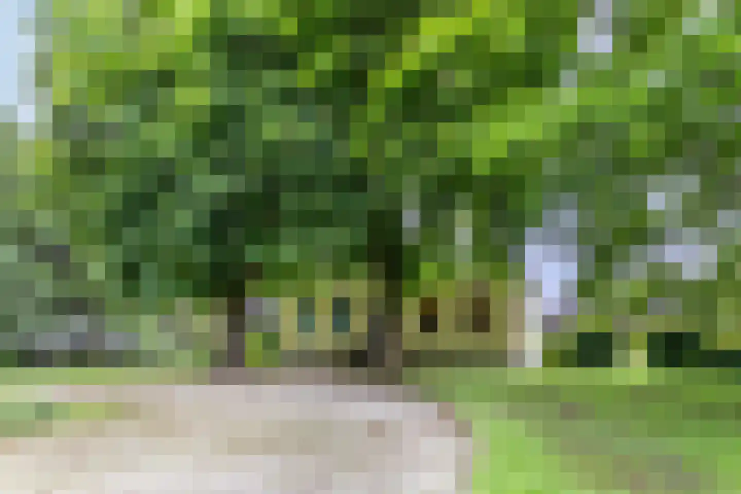 Rijksweg West 65 Westerbroek thumbnail 22