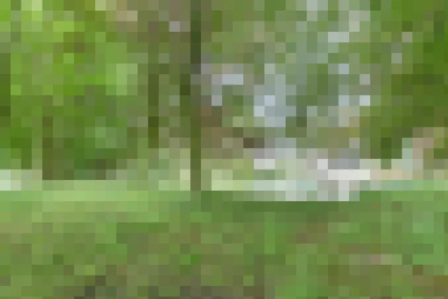 Rijksweg West 65 Westerbroek thumbnail 32