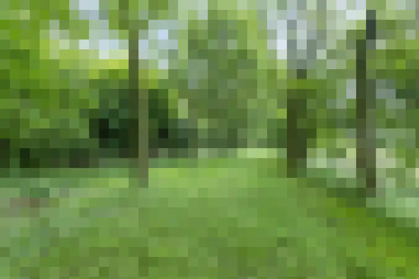 Rijksweg West 65 Westerbroek thumbnail 33