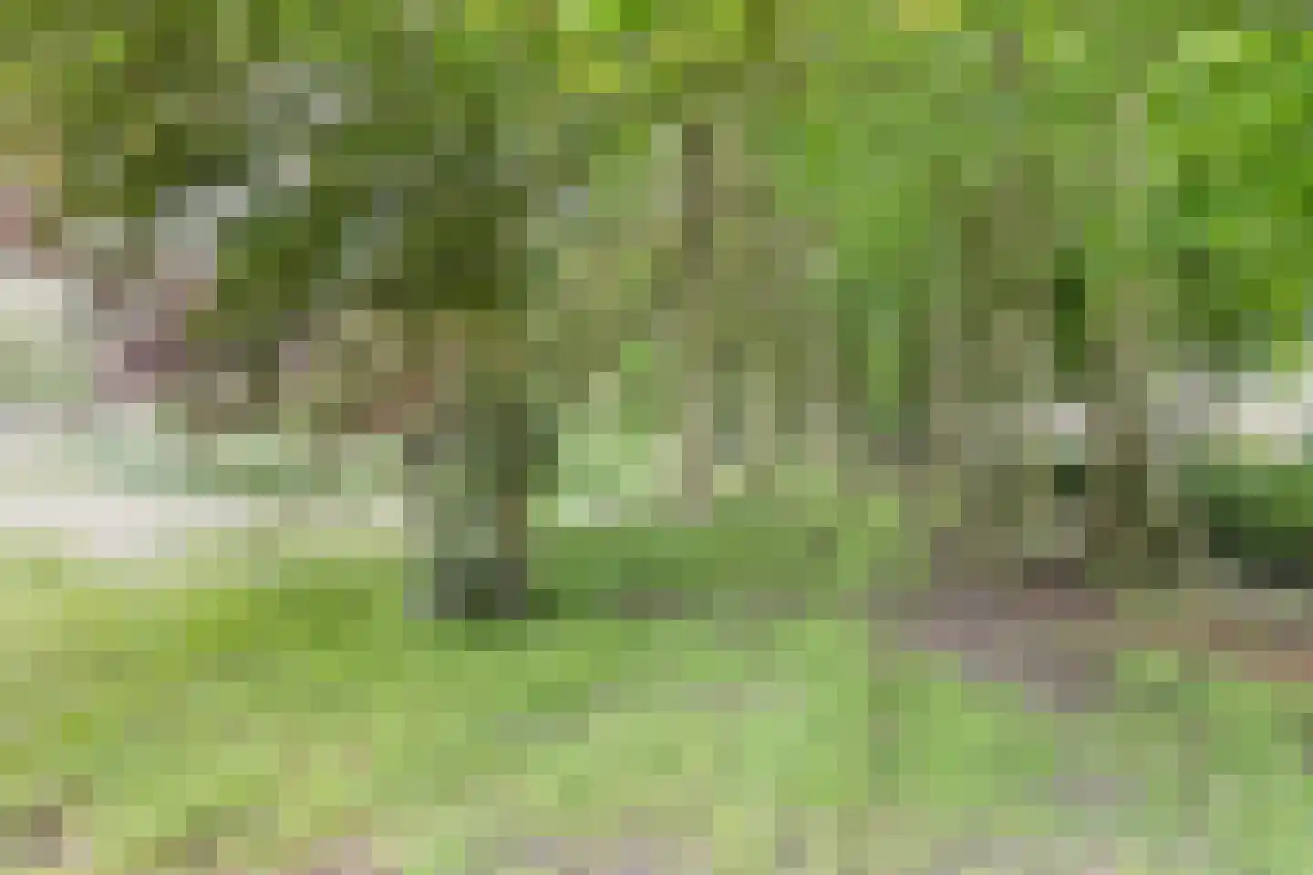 Rijksweg West 65 Westerbroek thumbnail 36