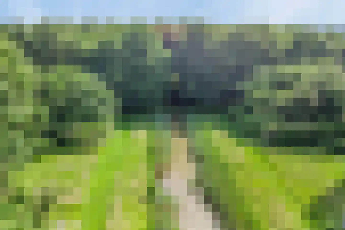 Rijksweg West 65 Westerbroek thumbnail 38