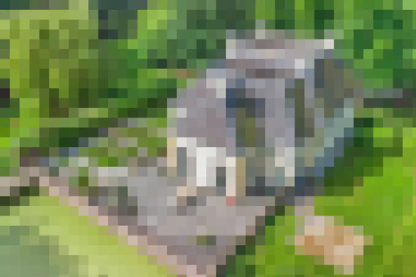 Rijksweg West 65 Westerbroek thumbnail 39